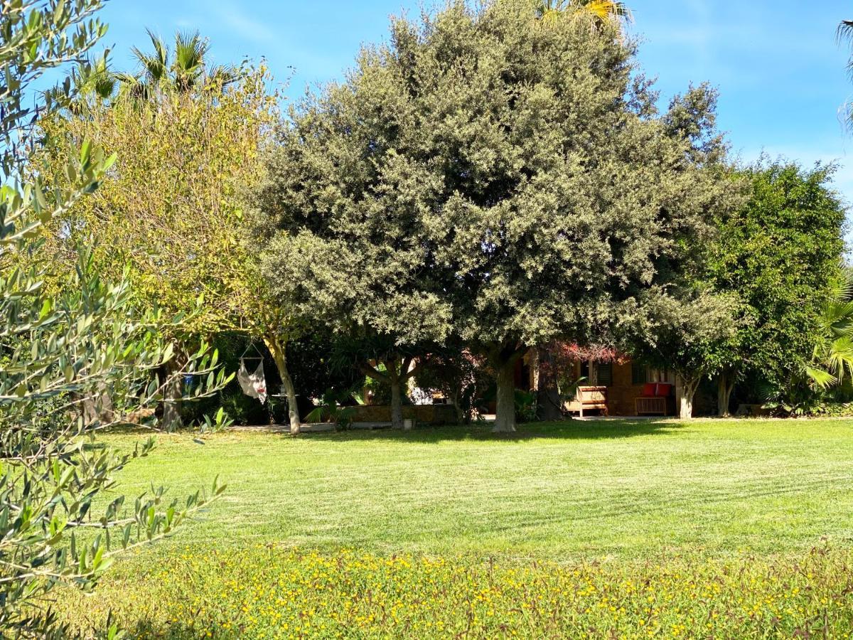 Sa Maiola-swimming Pool-5min From Centre Holiday home *
